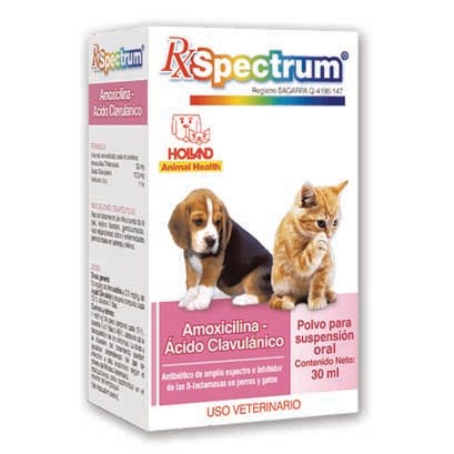 Amoxicilina y ácido clavulánico suspensión oral 30ml