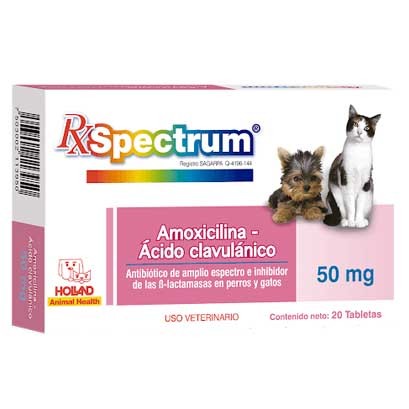 Amoxicilina y ácido clavulánico 50mg 20 tabletas