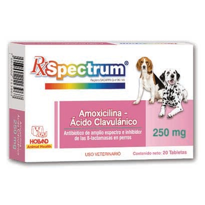 Amoxicilina y ácido clavulánico 250mg 20 tabletas