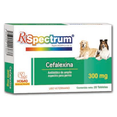 Cefalexina 300mg 28 tabletas