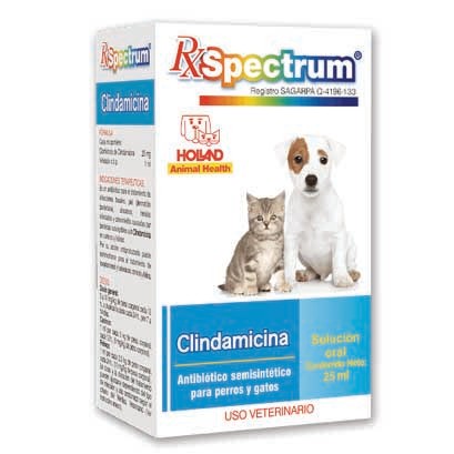 Clindamicina suspensión oral 25 ml