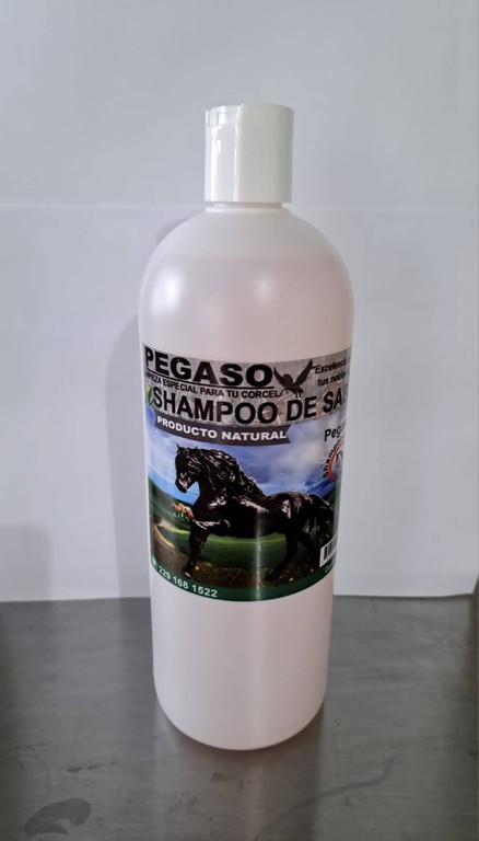 Shampoo natural de sabila para caballos PEGASO
